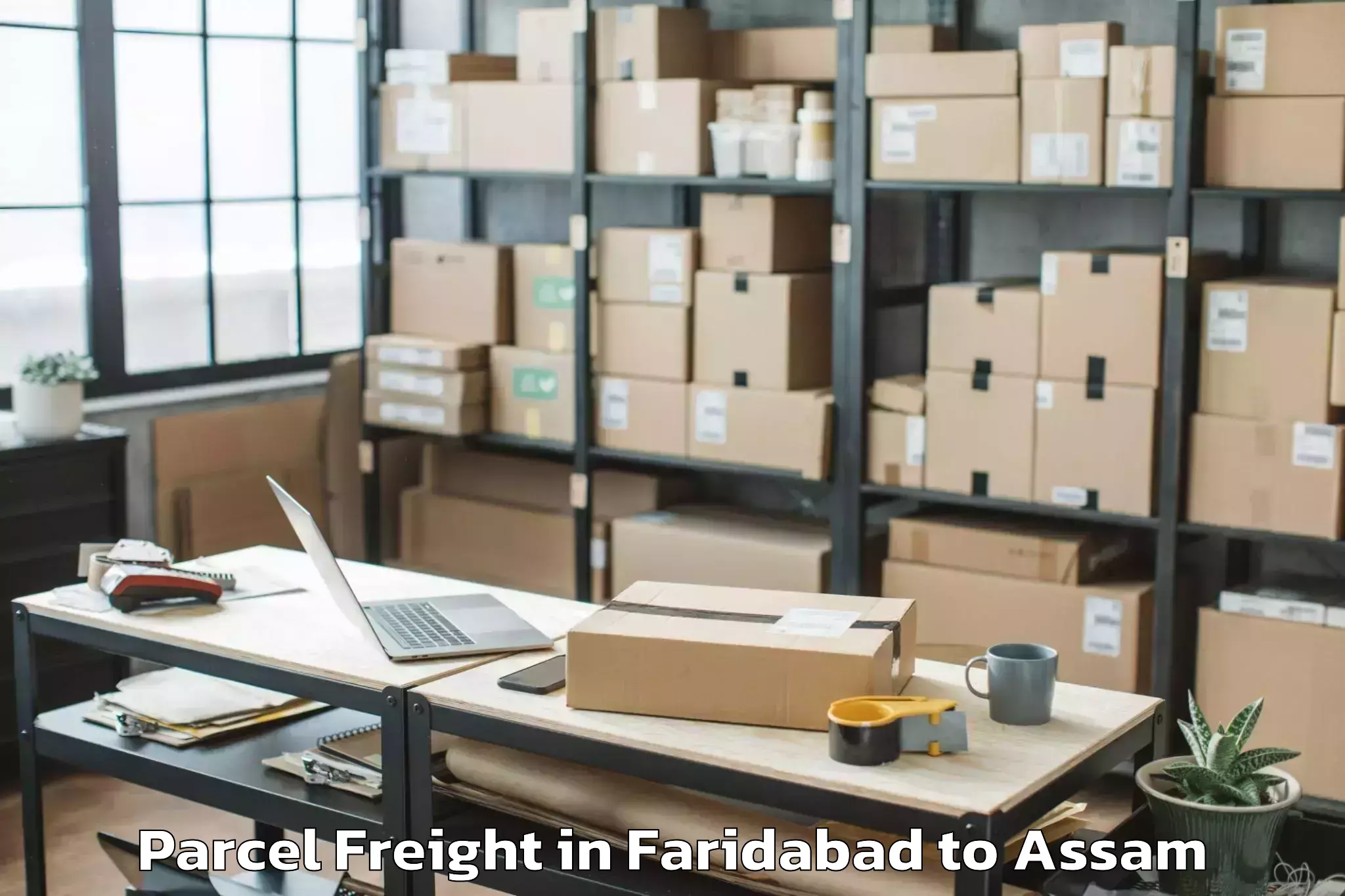 Hassle-Free Faridabad to Silapathar Parcel Freight